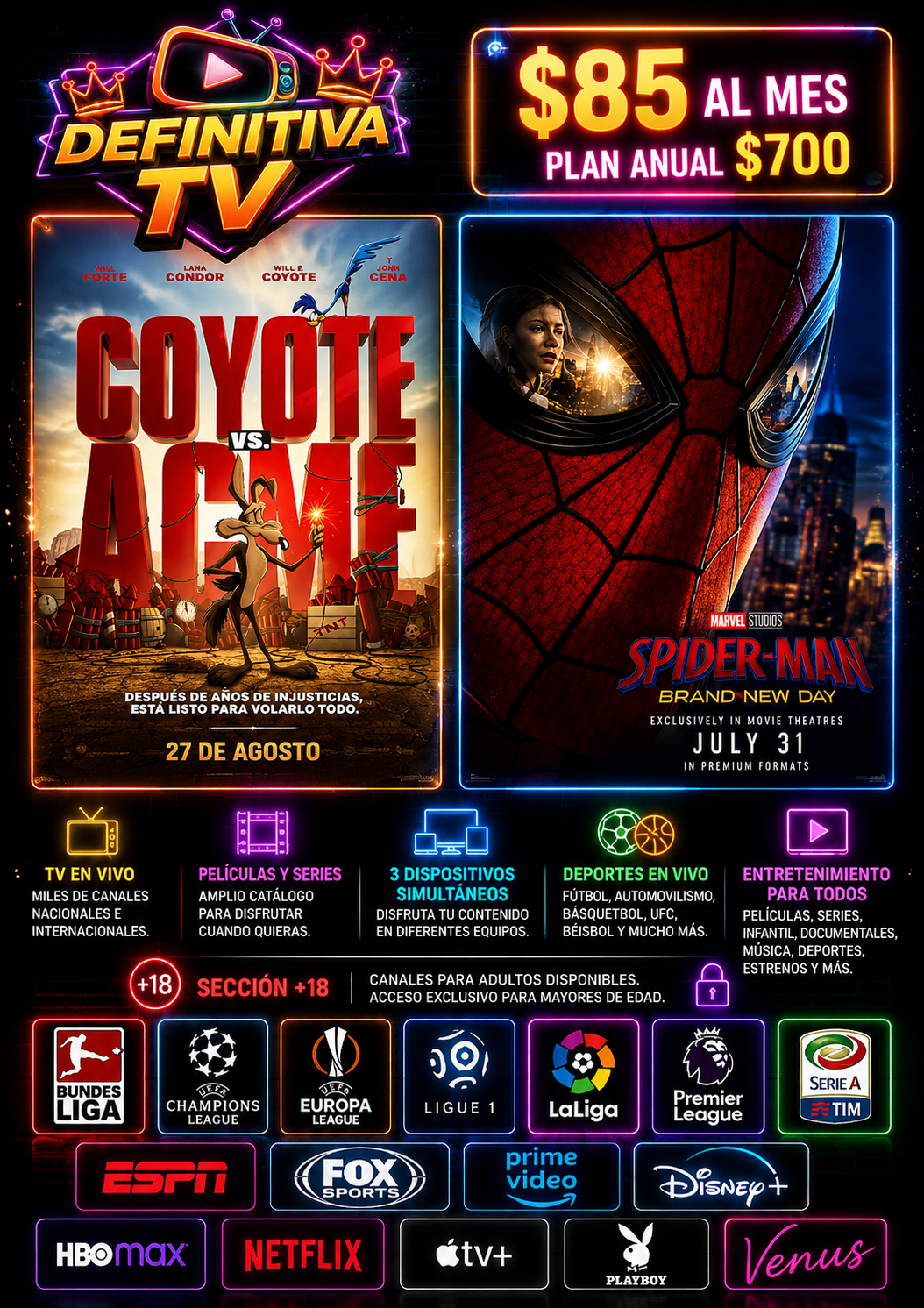 Promoción Definitiva TV